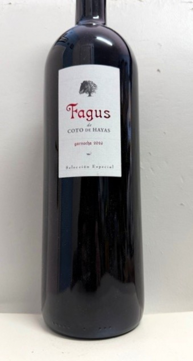 Fagus